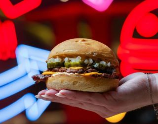 ALL SEASON BURGER SIN GLUTEN (D)