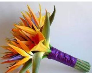 Exotic Majesty: A Bird of paradise arrangement 