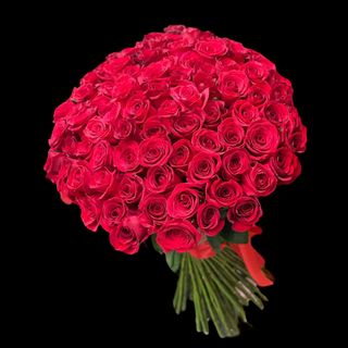 101 Big Premium Roses