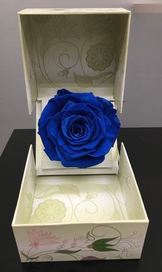 Rosa eterna premium color azul