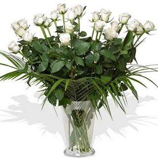 Ramo de 18 rosas color blancas.