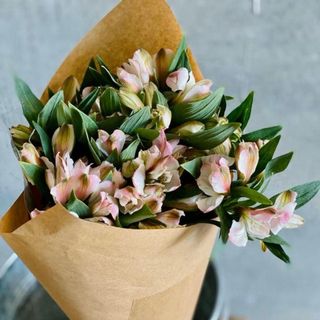 Pomo De Alstroemeria Para Casa (Larga Duración)