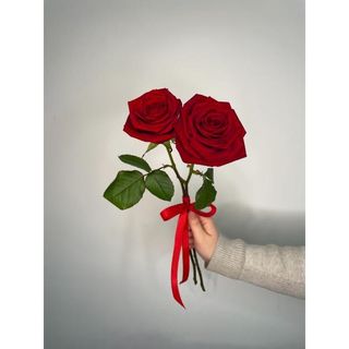 Czerwona róża 60 cm, 2 szt