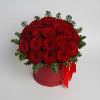 Квіти в коробці"Різдвяна зірка"