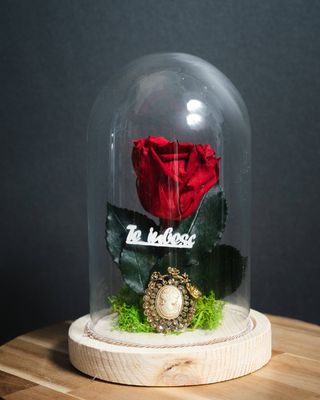 Cupola 1 trandafir criogenat