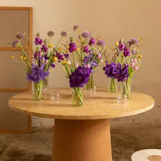 Selección especial de flores violetas