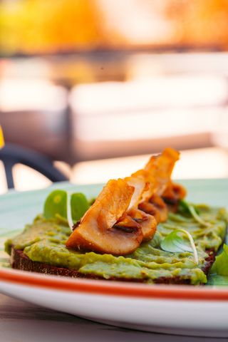 Avokado tost s grilovanim pečurkama