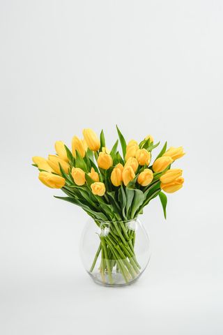 Just Tulips (Galben)