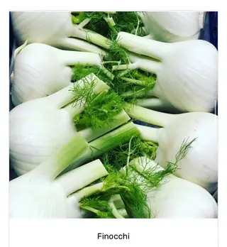 Finocchi Italia 1 kg. ca.