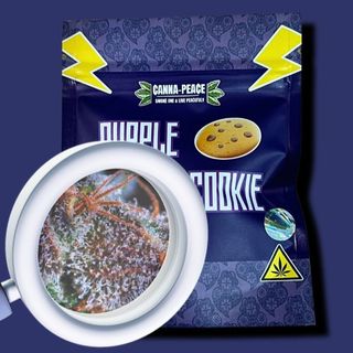 Flor Purple Cookie CBD