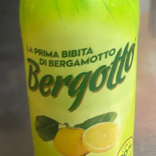 Bergotto 