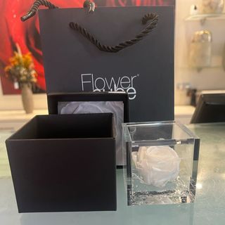 Rosa preservada en caja con olor 6x6 color BLANCO