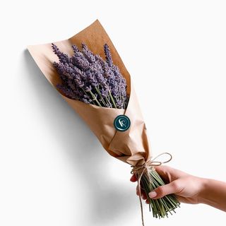 Molho de Lavanda