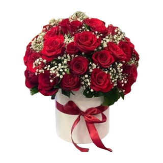 Coffret Fusion Vibrante