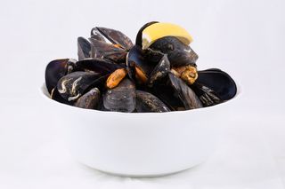 Mussels