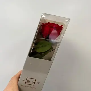 Rosa Eterna Roja 