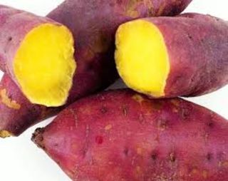 Sweet Potato