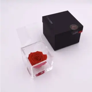 Rosa stabilizzata rossa M