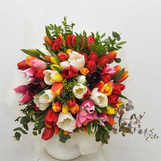 Buchet 51 lalele multicolore