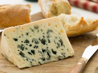 SALSA GORGO BLUE