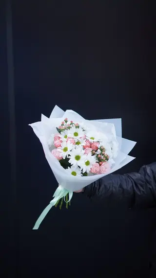 Chrisantemum