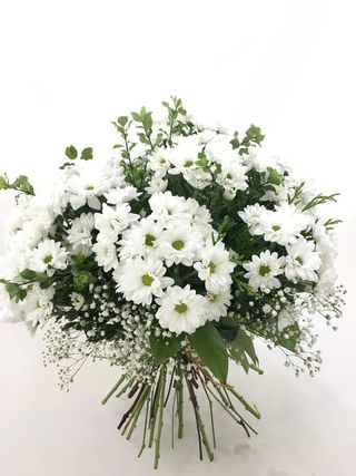 Ramo De Margaritas Blancas