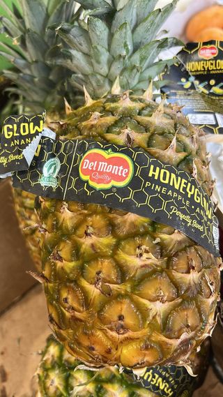 Ananas maturato in pianta