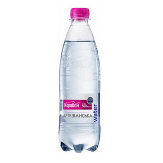 Вода Не газована 0.5л