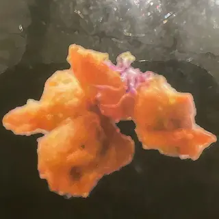 12a.Bolas De Pollo Tempura (8 Pzs.)