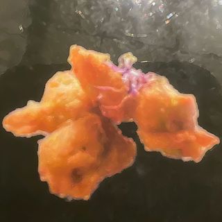 12a.Bolas De Pollo Tempura (8 Pzs.)