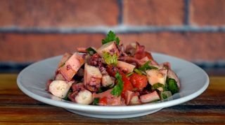 SALADA DE POLVO