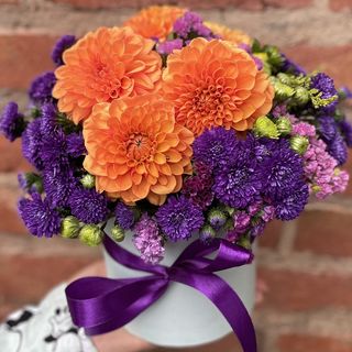 სტაფილოსფერი გეორგინების ყუთი 1170