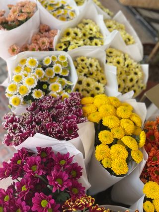 Margaritas frescas de la mejor selección!