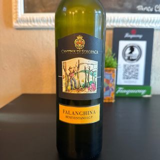 Falanghina Benevento 