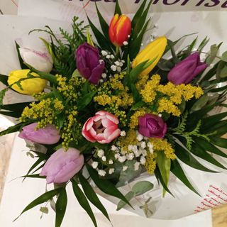 Ramo de tulipán (Color variado)