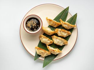 Гедза з качкою смажені