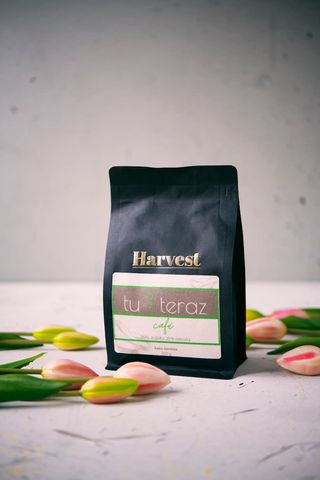 Kawa mielona Tu i Teraz