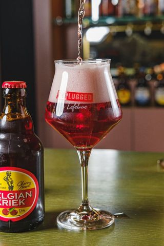 ბოთლის ლუდი ბელგიური კრიეკ   3.5 % 0.33