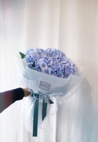 ჰორტენზია