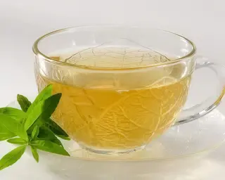 Verveine