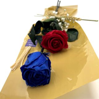 Dos Rosas Preservadas, Una Azul Y Una Roja