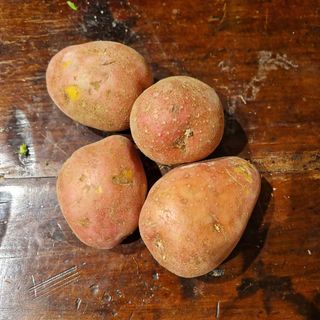 Patate rosse 1 kg