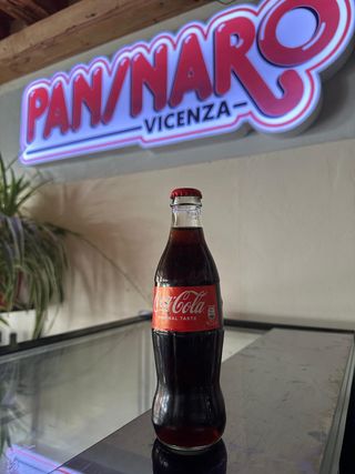 Coca-Cola Lattina 330 ml