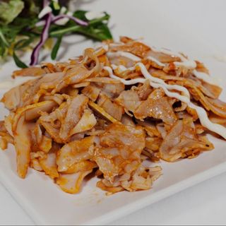 Plato Kebab Sólo Carne