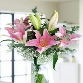 Ramo 6 Lilium Rosa