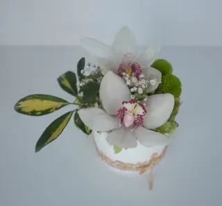 CIAB055