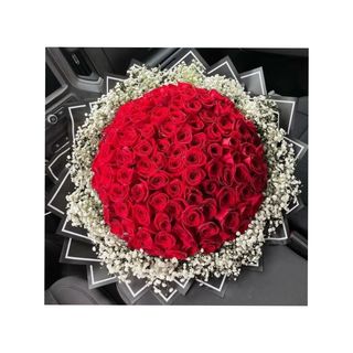 Classic Red Roses In Baby's Breath Halo