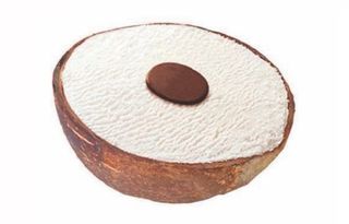 Gelato al cocco