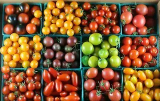 Pomodorini misto colore kg