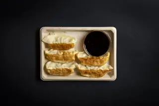 Gyoza carne